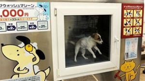 ���������� ������ ��� ����� � �����